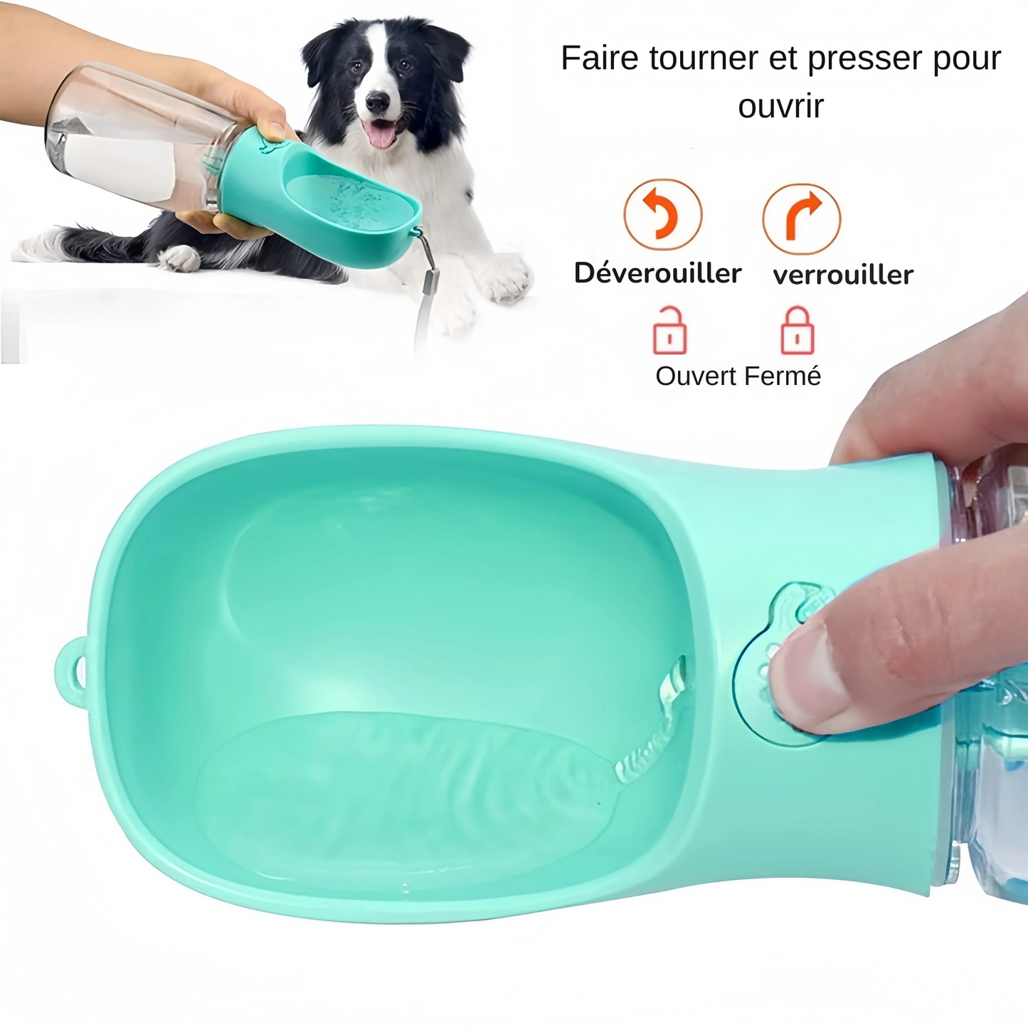 Bouteille d'eau portable & Distributeur de croquettes