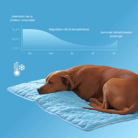 Tapis Rafraîchissant