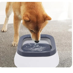 Bol anti-éclaboussures pour chien & chats