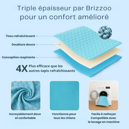 Tapis Rafraîchissant